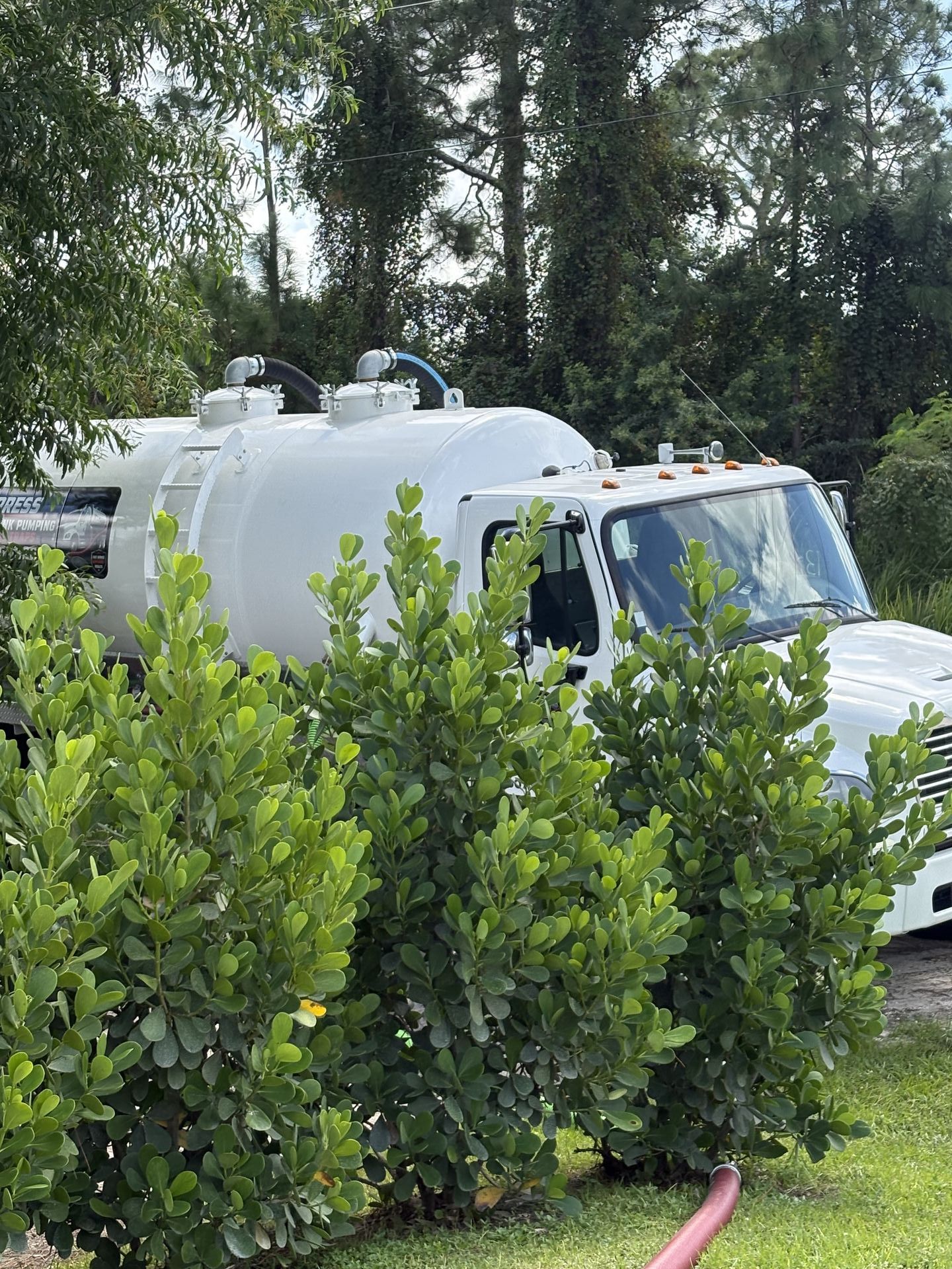 IMG 1388